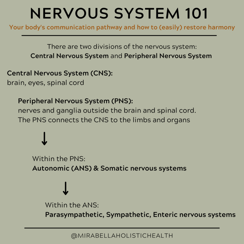 Nervous System 101