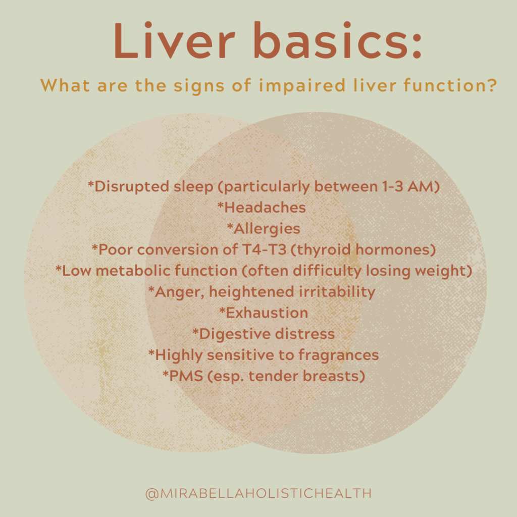 Liver Basics