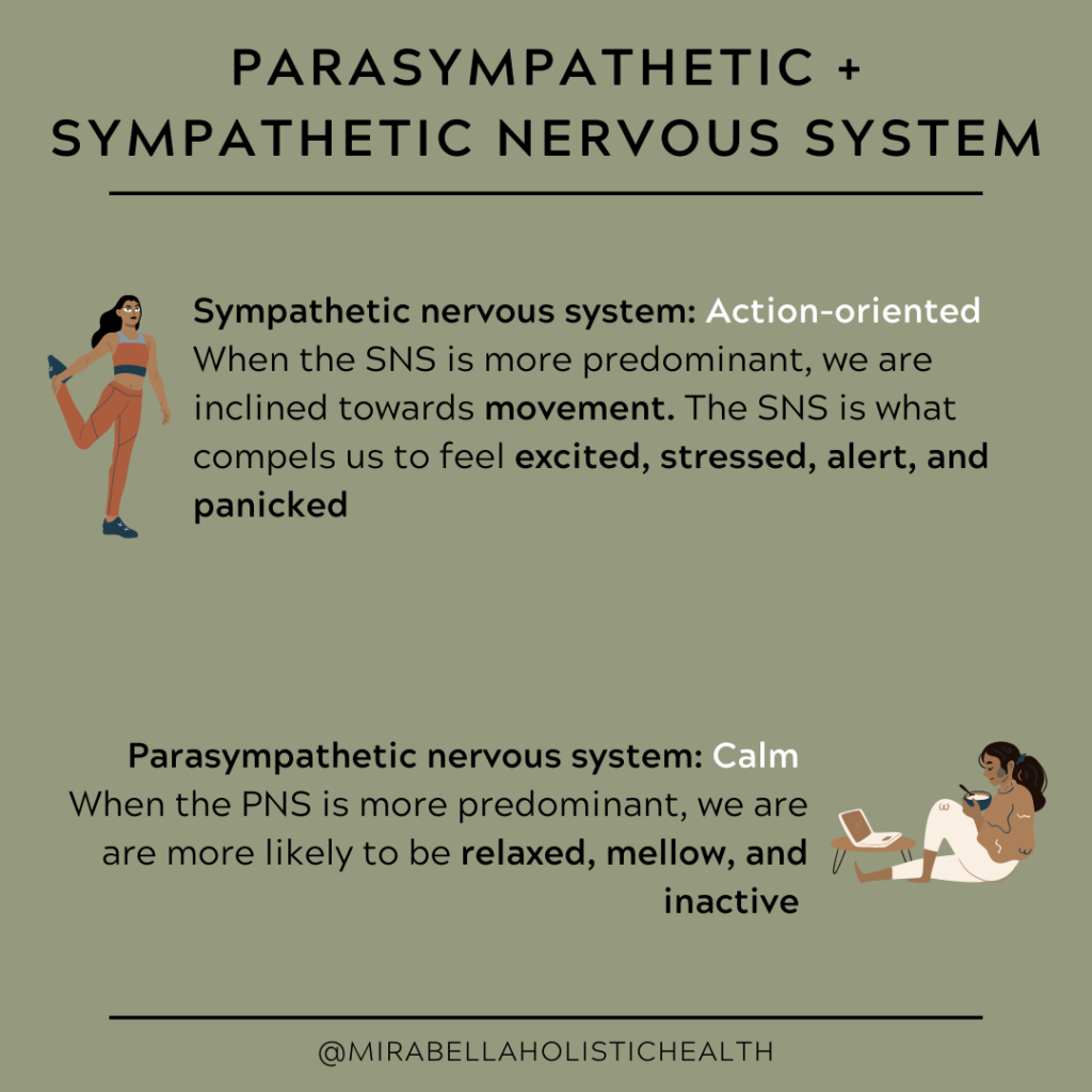Parasympathetic + Sympathetic Nervous System