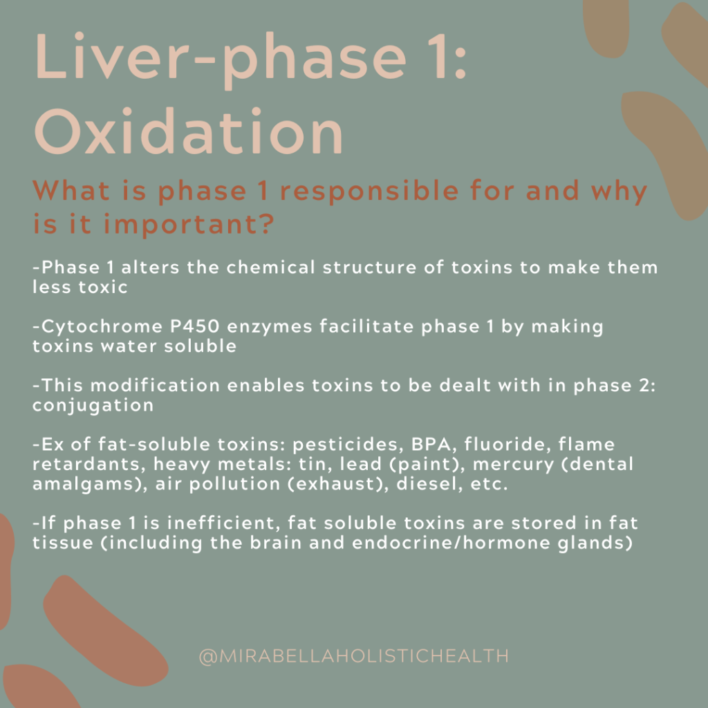 Liver Phase 1 Oxidation