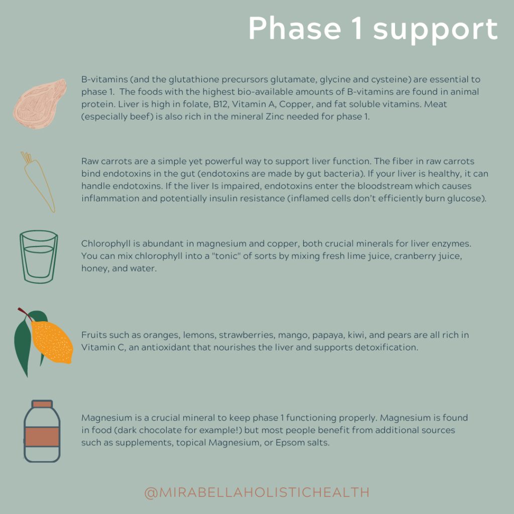 Phase 1 Liver Support