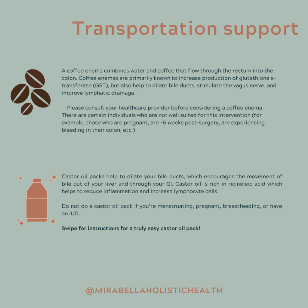 Transportation Support